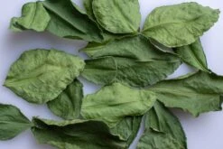 Angkor Food Makrut (Kaffir) Lime Leaves -Food Sale Stores angkor food makrut kaffir lime leaves angkor food 28277344075833