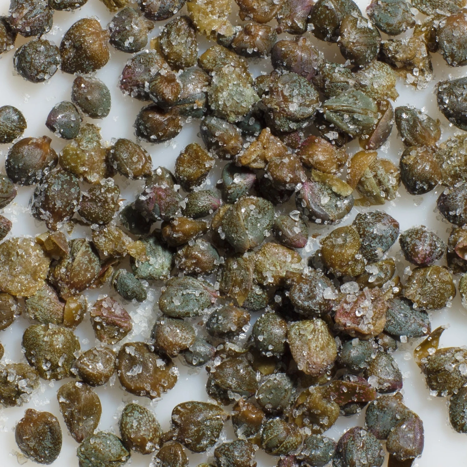 Bona Furtuna Salted Capers 4 Bona Furtuna Salted Capers - Image 2