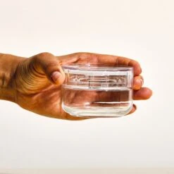 Cellarmate Charmy Clear Storage Jars — Short -Food Sale Stores cellarmate charmy clear storage jars short equipment japan gold small 170ml 647990