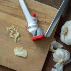 Dreamfarm Garject Garlic Press -Food Sale Stores dreamfarm garject garlic press dreamfarm 28207193096249
