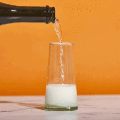 Marrakesh Recycled Champagne Glasses — Set Of 6 -Food Sale Stores marrakesh recycled champagne glasses set of 6 housewares alcantara frederic 636384