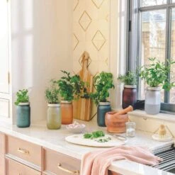 Modern Sprout Indoor Garden Jar - Cilantro -Food Sale Stores modern sprout indoor garden jar cilantro modern sprout 28335729049657