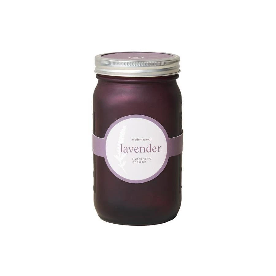 Modern Sprout Indoor Garden Jar - Lavender 3 Modern Sprout Indoor Garden Jar - Lavender