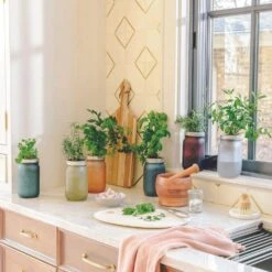 Modern Sprout Indoor Garden Jar - Lavender 8 Modern Sprout Indoor Garden Jar - Lavender -Food Sale Stores modern sprout indoor garden jar lavender modern sprout 28335728295993