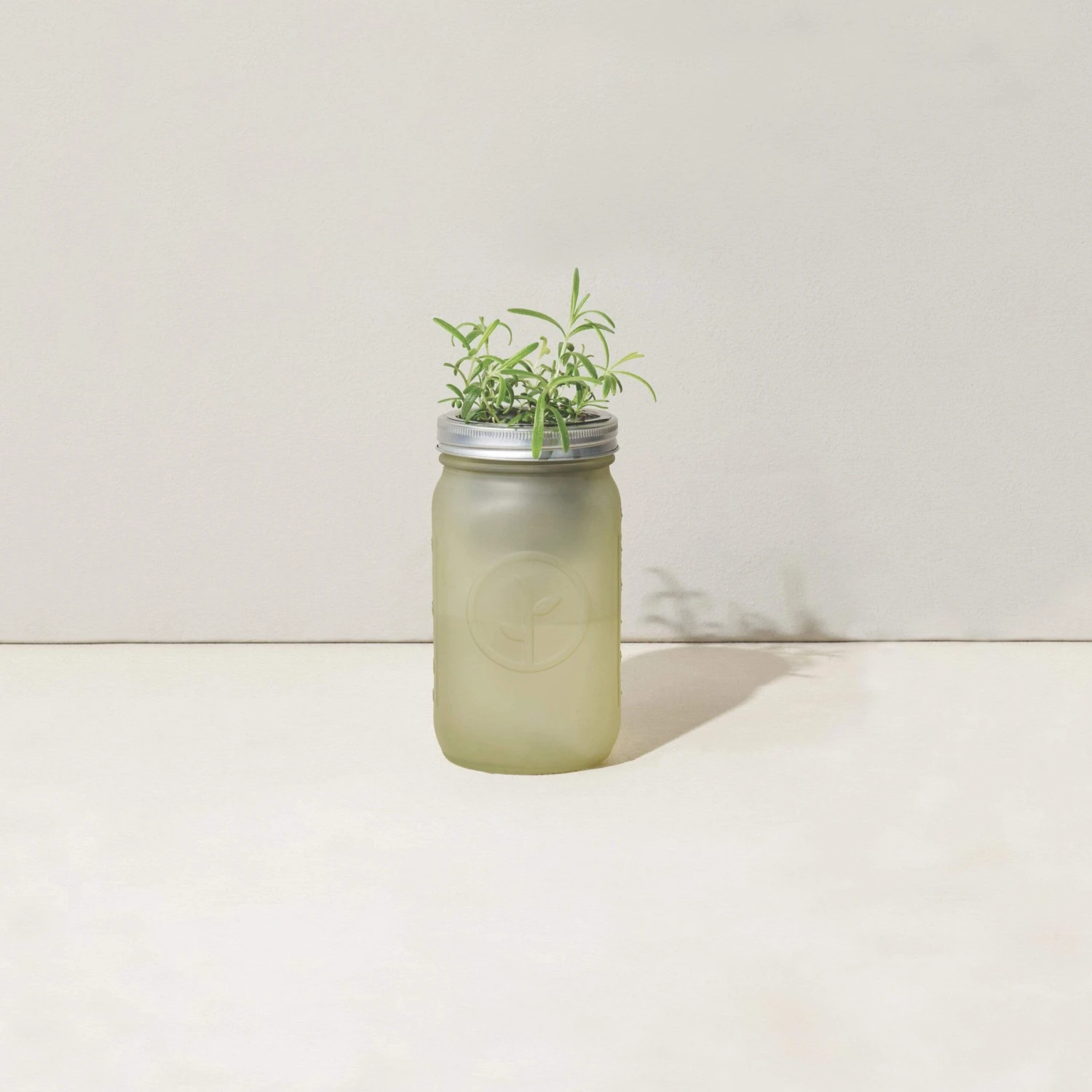 Modern Sprout Indoor Garden Jar - Rosemary 4 Modern Sprout Indoor Garden Jar - Rosemary - Image 2