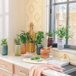 Modern Sprout Indoor Garden Jar - Rosemary 8 Modern Sprout Indoor Garden Jar - Rosemary -Food Sale Stores modern sprout indoor garden jar rosemary modern sprout 28335724036153