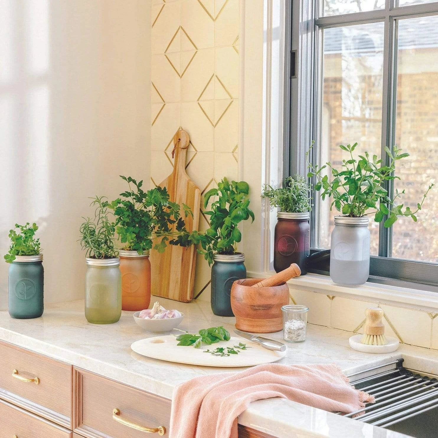 Modern Sprout Indoor Garden Jar - Rosemary 5 Modern Sprout Indoor Garden Jar - Rosemary - Image 3