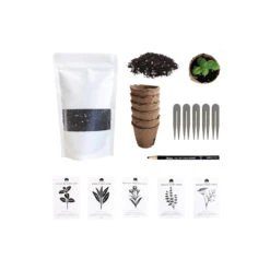 RT1home Seed Starter Grow Set - Oregano, Sage, Tarragon, Thyme, Fennel 7 RT1home Seed Starter Grow Set - Oregano, Sage, Tarragon, Thyme, Fennel -Food Sale Stores rt1 home seed starter grow set oregano sage tarragon thyme fennel gardening rt1home 492639
