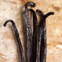 SAVA Trading Co. Extract-Grade Madagascar Vanilla Beans -Food Sale Stores sava trading co extract grade madagascar vanilla beans sava trading co 28276682227769