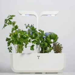 Veritable Classic Indoor Garden -Food Sale Stores veritable classic indoor garden housewares milk street store 408675