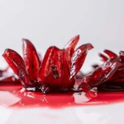 Wild Hibiscus Flower Co. Flowers In Syrup -Food Sale Stores wild hibiscus flower co flowers in syrup wild hibiscus flower co 28277207629881