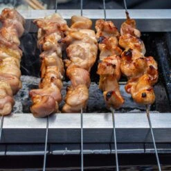 Yakiniku Shichirin Rectangular Grill -Food Sale Stores yakiniku shichirin rectangular grill yakiniku 28493673463865