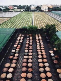 Yun Hai Taiwanese Pantry Pineapple Soy Sauce -Food Sale Stores yun hai taiwanese pantry pineapple soy sauce yun hai taiwanese pantry 28277083799609